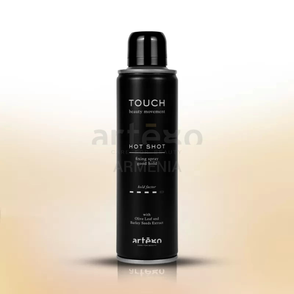 Մազերը Ֆիքսող Սփրեյ «Hot Shot» 500 մլ․