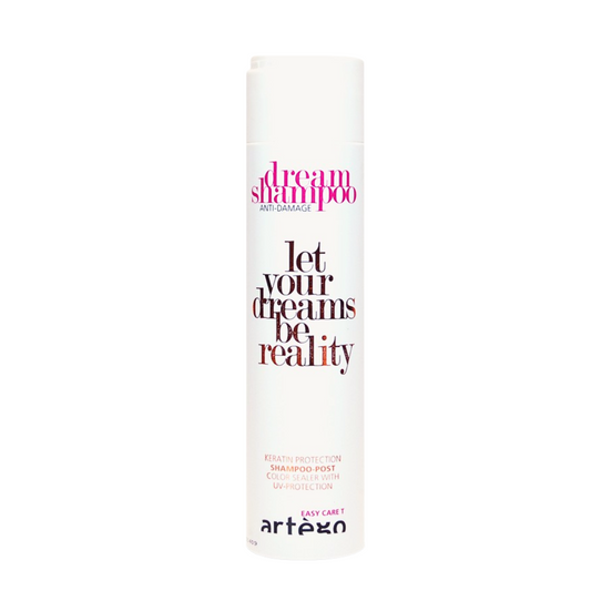 Artego Easy Care T Repairing Shampoo  «Dream Post» — official product photo
