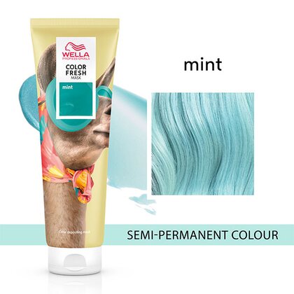 Wella Professionals Color Fresh Mask — Mint