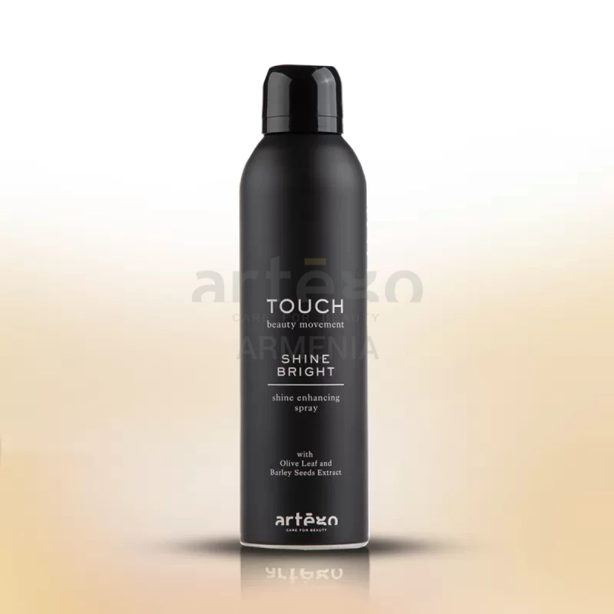 Փայլ Հաղորդող Սփրեյ «Shine Bright» 250 մլ․